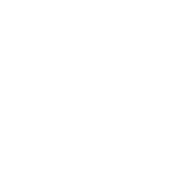 Gas Fireplace